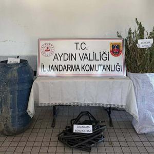 Ormanda Hint keneviri yetiştiren 5 şüpheliye gözaltı