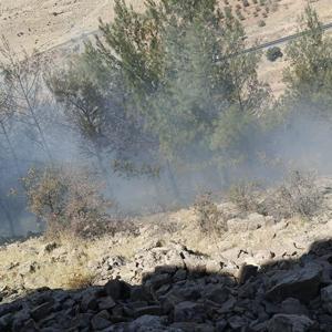 Mardin’de örtü yangını