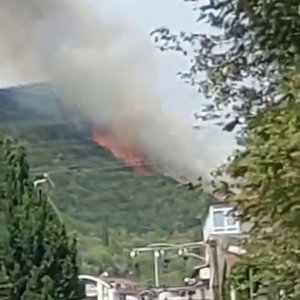 Kocaelide orman yangını