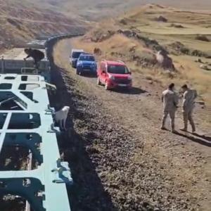 Yük treni büyükbaş sürüsüne çarptı; 5 inek öldü
