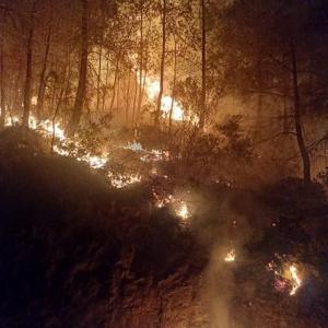 Orman yangını büyümeden söndürüldü