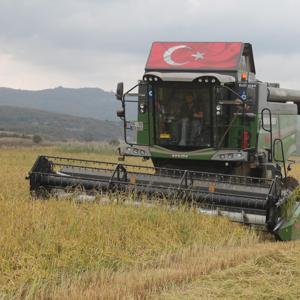 Manyas Ovasında çeltik hasadı başladı