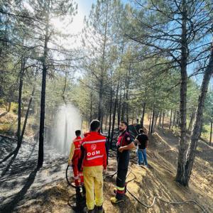 Genç’te çıkan orman yangını söndürüldü