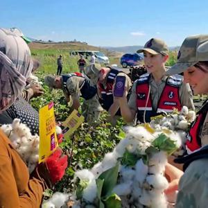 Jandarma, tarlada pamuk topladı; kadınlara KADES’i anlattı