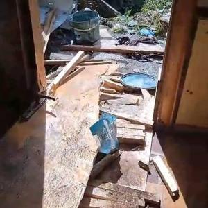Yiyecek arayan ayılar, 8 köy evine zarar verdi