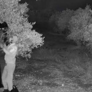 Aydında kaçak tarihi eser kazısına suçüstü: 4 gözaltı