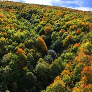Tokat’ta sonbaharın güzelliği havadan görüntülendi