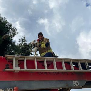 Okuldaki ağaçta mahsur kalan kedi kurtarıldı