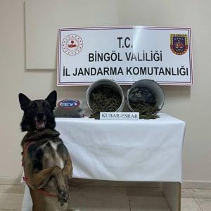 Bingöl’de uyuşturucu operasyonunda 1 tutuklama