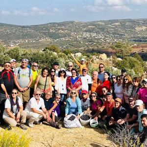 Yayladağı’nda Zeytin Hasat Festivali