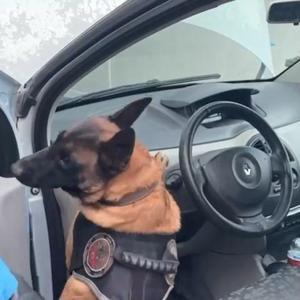 Kocaelide otomobile zulalanmış 45 kilo eroin ele geçirildi