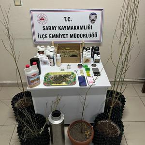 Evlerine kurdukları sistemle kenevir yetiştirip uyuşturucu üreten 5 şüpheli gözaltında