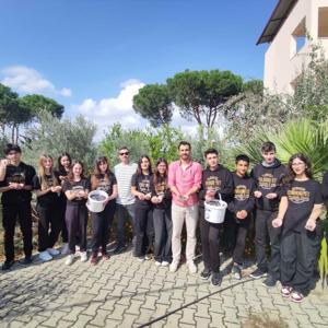 Okul bahçesinde öğrencilerden zeytin hasadı