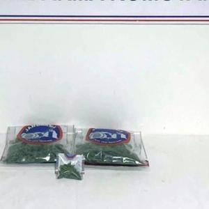 Bingöl’de uyuşturucu operasyonlarında 1 tutuklama