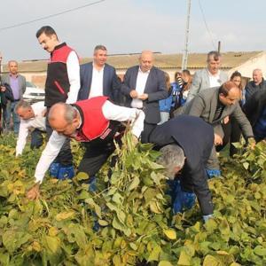 Coğrafi işaretli ‘Kazak fasulyesi’ hasadı festivalle yapıldı