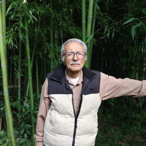 Samsunda 10 yıldır bahçesinde bambu yetiştiriyor