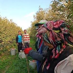 Kozanda tarım işçileri Atatürkü andı
