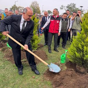 Ordu’da yıl sonuna kadar 350 bin fidan toprakla buluşturulacak