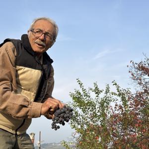 86 yaşında, arazisinde 54 farklı organik meyve yetiştiriyor