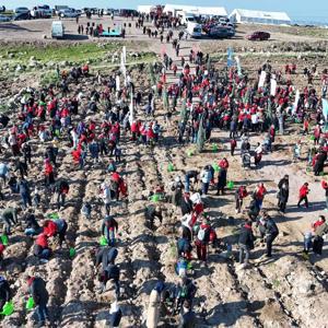 Menemen Belediyesinden  fidan dikme etkinliği