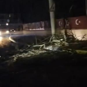 Devrilen ağaç 2 mahalleyi elektriksiz bıraktı
