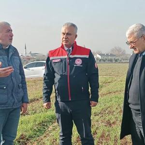 Hatay’da buğday ekili alanlar incelendi