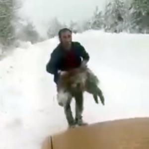 Yolda önüne çıkan yaban domuzunu elleriyle yakalayan sürücü: Kimse denemesin