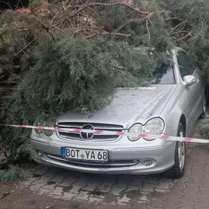 Gedizde fırtına; ağaçlar devrildi, bina dış cephe kaplamaları söküldü