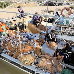 Silifke’de balık çiftliğinin ağı yırtıldı, tekneler balıkla doldu