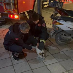 Boş evin balkonunda mahsur kalan kediyi itfaiyeciler kurtardı