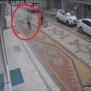 Esnafın, çocuğu, sokak köpeğinin saldırısından kurtardığı anlar kamerada