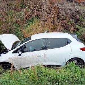 Köpeğe çarpmamak isterken şarampole uçtu: 2 yaralı