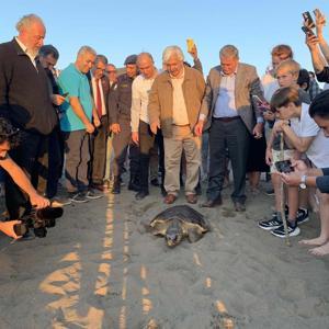 Caretta caretta Cumhuriyeti 10 bin kişi izledi