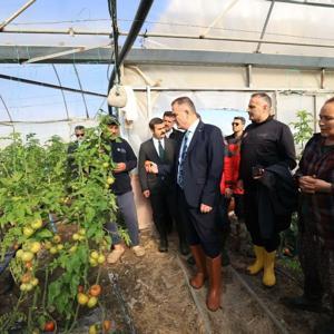 Vali Akbıyıktan afetten zarar gören seralarda inceleme