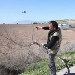 Hatayda yol kenarları ağaçlandırılıyor
