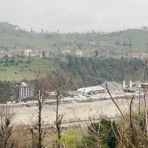 Rizede gökyüzünde süzülen şahin sürüsü kamerada