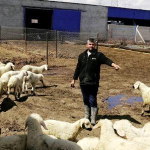 80 bin lira maaşla çalıştıracak çoban bulamıyorlar