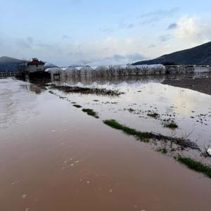 Antalyada sağanak; dereler taştı, tarım alanlarını su altında kaldı