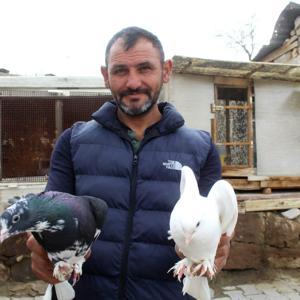 Hobi olarak başladığı güvercin tutkusunu 35 yıldır sürdürüyor