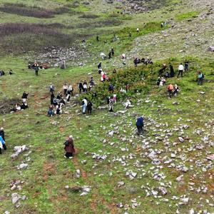Muşun zirveleri ters lalelerle renklendi / Ek fotoğraflar