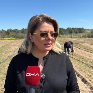 Kadın girişimci ilaç ve suni gübre kullanmadan kuşkonmaz üretiyor