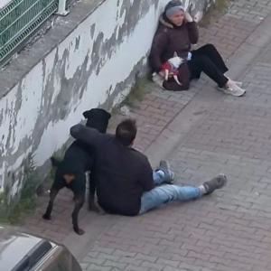 Ümraniye’de ağızlıksız gezdirilen rottweiler, küçük ırk köpeğe saldırdı