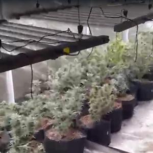 Uyuşturucu imal edilen eve operasyon: 2 tutuklama