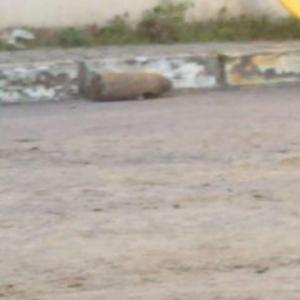 Eyüpsultanda kazı çalışması sırasında havan topu mermisi olduğu değerlendirilen mühimmat bulundu