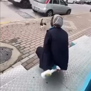 Kedinin yüzüne sprey sıkan market çalışanı gözaltına alındı
