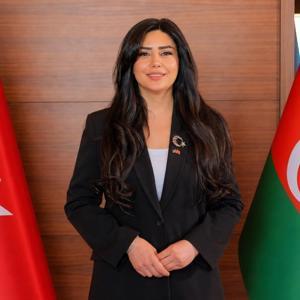 Azerbaycan ve Türkiye arasındaki ilişkileri güçlendirecek AKİD kuruldu