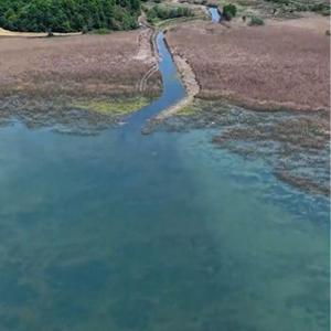 Sapanca Gölünde su seviyesi yükseldi