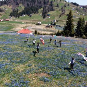 Yaylaya çıktılar, kitaba sarıldılar; ‘mavi yıldız’lar arasında ders/ Ek fotoğraflar