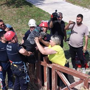 Kedi kovalarken falezlerden düşen köpek, dronla tespit edilip kurtarıldı