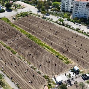 Uluslararası konuklar, kadın üreticilerle birlikte fide dikti